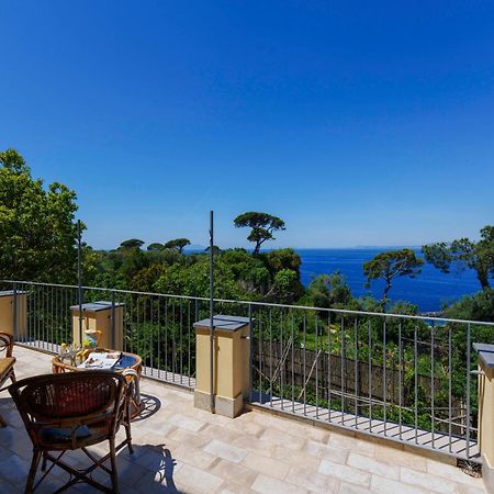 Villa Preziosa Al Pizzo 3 Km Da Sorrento Sant'Agnello Zewnętrze zdjęcie